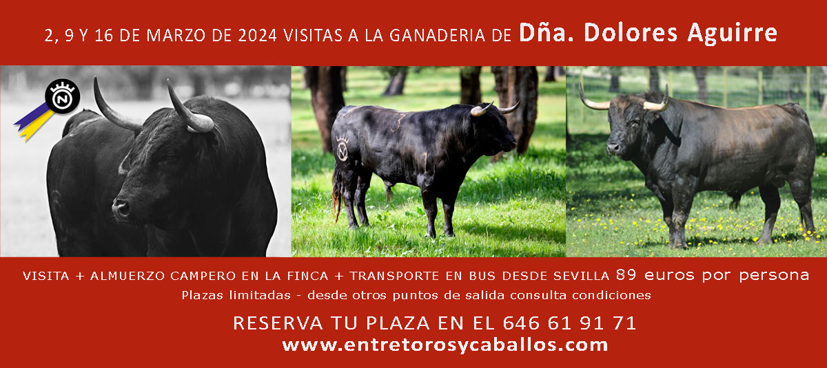 inicio-banner-dolores-aguirre