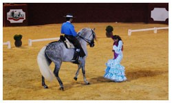 Exhibición Ecuestre (35-40 minutos)